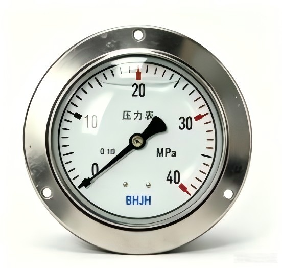 Pointer Shock-Resistant Precision Pressure Gauge